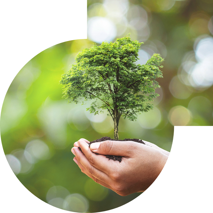 關懷人類、文化、環境與社會